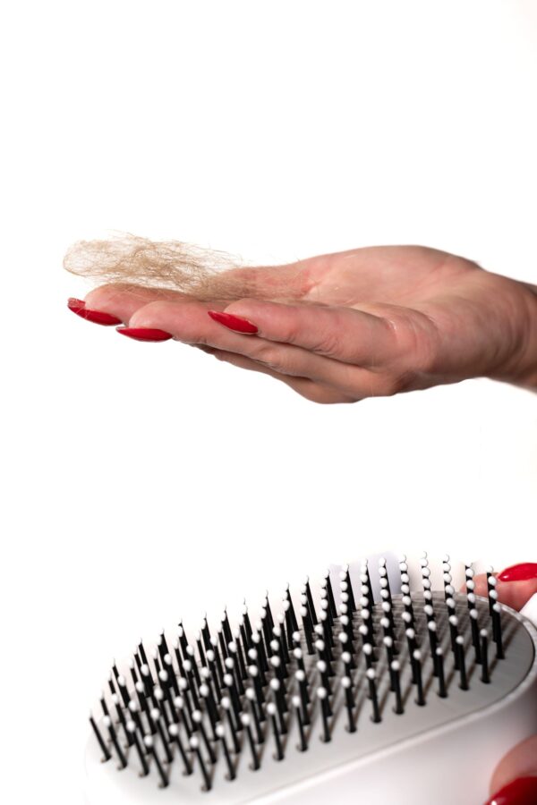 460269211_1255704965464542_683072007770723795_n