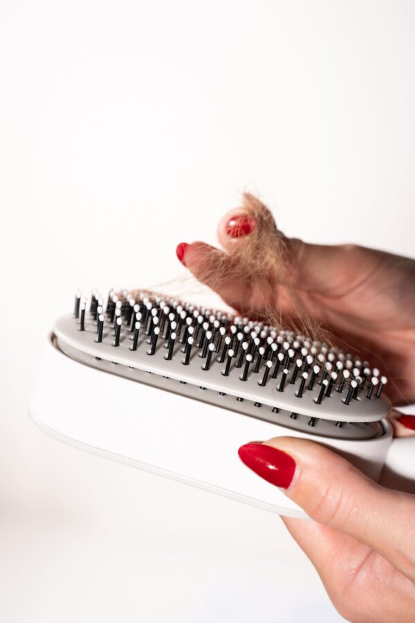 462539642_1237243177475467_8190151760829177553_n